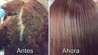 🥇💆🏻‍♀️Como Poner la Cirugía Capilar Marroquina Chocolate en el Cabello 100 Fácil y Rápido✅ [upl. by Pride]