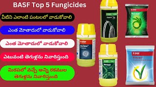 BASF Top 5 Fungicides  Acrisio  Cabrio top  Acrobat  Merivon  Polyram [upl. by Laven599]