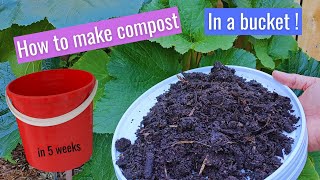 How to make compost in a bucket in 5 weeks for beginners [upl. by Maurizia]