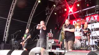 Dog Eat Dog  Whos the King live at Mixtream Heerhugowaard on 300815 [upl. by Rosenblum931]