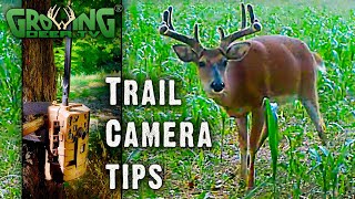 Trail Camera Tips You Can Use NOW Where and How to Hang Your Cameras 713 [upl. by Burgess]