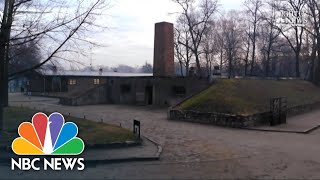 Auschwitz Survivors Return To Death Camp 75 Years Later‌  NBC Nightly News [upl. by Anialahs]