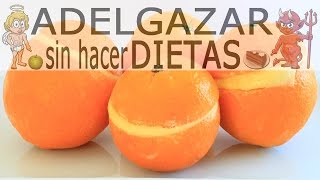 HELADO DE NARANJA CASERO  ADELGAZAR SIN HACER DIETAS [upl. by Burget]