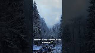 Snowfall amp Silence ❄️  30Second Winter Meditation relaxing relax [upl. by Hirst]