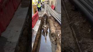 বাহিরের দেশের মানুষরা কতটা আধুনিক দেখুন 😱 Underline pipe laying [upl. by Novyak877]