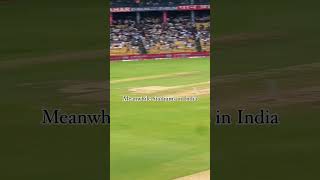 India vs Australia Pitch BorderGavaskar Trophy cricket indiavsaustralia india kohli bumrah [upl. by Docilu371]