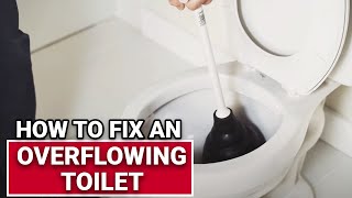 Fix Constantly Running Dual Flush Toilet Cistern By Replacing The Flush Valve Washer [upl. by Meelak139]