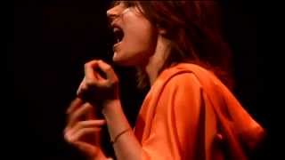 CAMILLE Live au ZÉNITH Paris 2008 Full Concert [upl. by Tera]