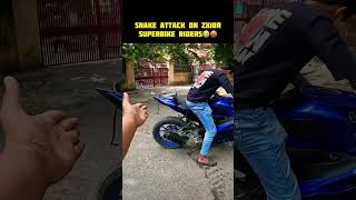 Snake Attack On Zx10r Superbike Riders 🤬😭 youtubeshortsvideo trending shorts short [upl. by Anilorac778]