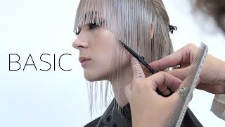 Basic Education Course for Hairdressers Haircuts Shapes and Techniques [upl. by Molton]