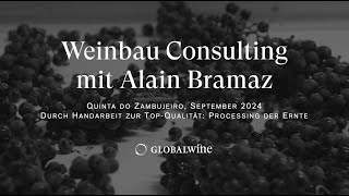 WeinbauConsulting mit Alain Bramaz Quinta do Zambujeiro – Verarbeitung der Ernte [upl. by Ecnerat]