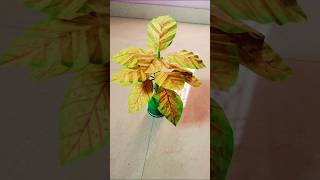 Paper tree craft l plant homedecor craftideas ytshorts shorts diy [upl. by Remas]