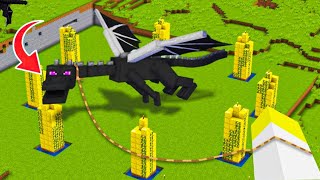 How i Trapped EnderDragon In My Minecraft World  Addon Nagar 17  Mcaddon [upl. by Solracesoj750]