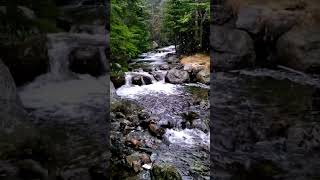 Soothing Water Stream amp Soft Rain in a Valley 🌿 [upl. by Marquardt]