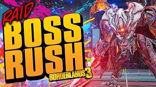 Borderlands 3  RAID BOSS RUSH  Chill amp Kill Zane [upl. by Coumas]