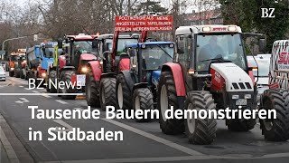 Tausende Bauern demonstrieren in Südbaden [upl. by Oliana250]