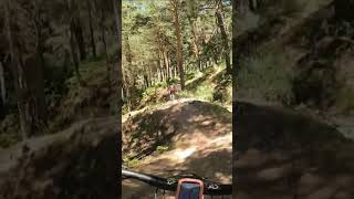 MTB Forest Trail 🌲 mountainbiking mtblife btt cycling mtbtrail shortsyoutube [upl. by Maxfield]