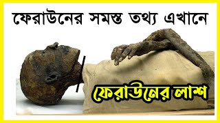 ★ দেখুন ফেরাউন সম্পর্কে অজানা সমস্ত তথ্য  ফেরাউনের লা’শের অবস্থা  আমাদের ইসলাম [upl. by Jehiel449]