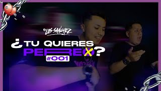 ¿TU QUIERES PERREO Vol 1🔥🚀 LosSanhezDJ [upl. by Ainit169]