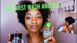 MY FIRST WASH AND GO Using Cantu shampooconditioner and Ampro prostyle gel [upl. by Jegar]