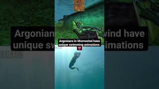 Argonians in Morrowind have unique swimming animations skyrim oblivion morrowind elderscrolls [upl. by Nanci]