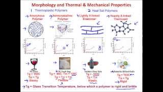 Muddiest Points Polymers I  Introduction [upl. by Ianaj]