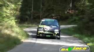 Rallye des bauges 2014  Test TBadel [upl. by Sherrard583]