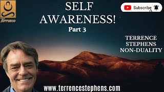 Terrence Stephens NonDuality Self Awareness Part 3 [upl. by Ragse]