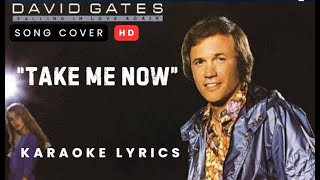 Take Me Now by David Gates  Karaoke with lyrics  Song cover HD [upl. by Elletnahc862]