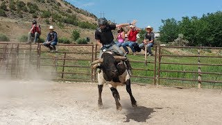 Gary Leffew Bull Riding School Student Bull Riding Compilation Part 12 [upl. by Ahsinuq]