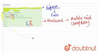 Match the enzymes with their respective substrates and choose the right one among options given [upl. by Afaw]