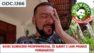 Ojciec Klimuszko przepowiedział że Albert z lasu posadzi pomarańcze Oczko wodne Odc1366 [upl. by Ferguson98]