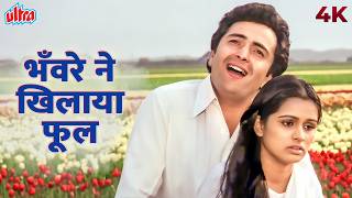 Bhanware Ne Khilaya Phool Video Song 4K  Prem Rog  Suresh Wadkar Lata Mangeshkar  Rishi Kapoor [upl. by Lenwood545]