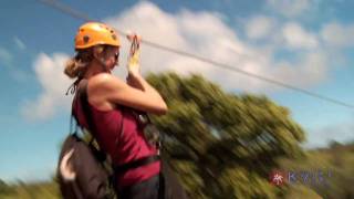 Kauai Zipline Spotlight  Princeville Ranch Adventures  KVICTV myKauaicom Activity [upl. by Cybil754]