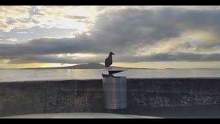 Fishing around Rangitoto Island with Papik amp his first kingfish [upl. by Nnilsia]