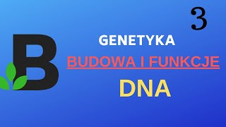 Budowa i funkcje DNA  genetyka  KOREPETYCJE z BIOLOGII  188 [upl. by Ydnik]