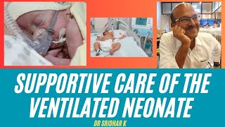 Supportive care in the ventilated neonate neonatology [upl. by Lotte247]