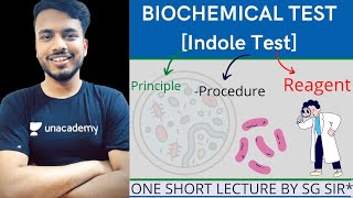 indole production test microbiology  indole production test  imvic test  microbiology unit 2 [upl. by Andros114]