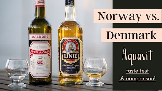 What Does Aquavit Taste Like  AQUAVIT TASTE TEST [upl. by Aeel]