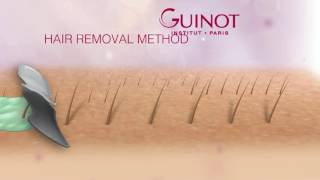 Animation GUINOT Method Epilation 2016 [upl. by Pleasant871]