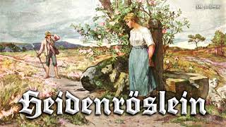 Heidenröslein German folk songinstrumental [upl. by Bram]