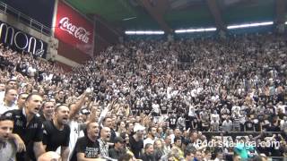 Partizan  Fenerbahce 08112013 Grobari navijanje [upl. by Nauqit822]