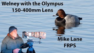 The Olympus 150400mm lens at Welney Wildfowl and Wetland Reserve [upl. by Krilov]