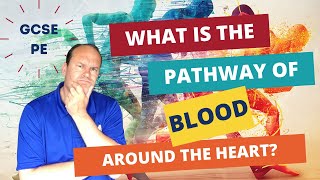 GCSE PE What is the pathway of blood around the heart [upl. by Anek]