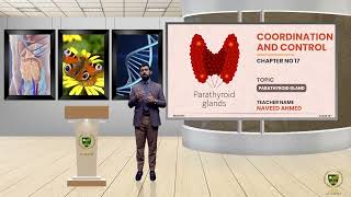 Parathyroid Gland  12TH BIOLOGY  CHP 17  LECTURE 27 [upl. by Lehteb]