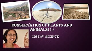 ConservationOfPlantsAndAnimalsDroughtDesertificationDeforestationCBSE8thScience [upl. by Uhayile]