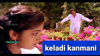 keladi kanmani 1080p HD video Songpudhu pudhu ArthangalillaiyarajaSPB [upl. by Haisi]