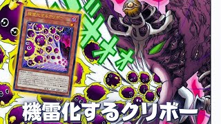 Kuriboh Negate  Detonating Kuriboh DECK NEW CARD  YGOPRO [upl. by Nodnorb]