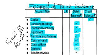 format of trial balancetrial balance format in Hindi and Englishtrial balance format [upl. by Yerffej]