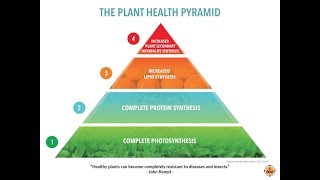 Plant Health Pyramid [upl. by Lonyer]